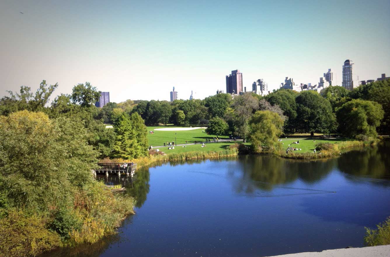 Park afternoon